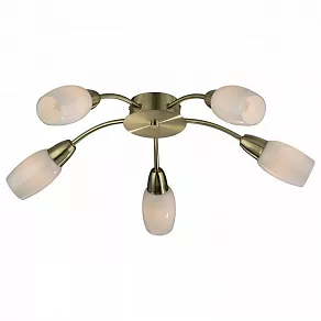 Потолочная люстра Odeon Light Otta 2067/5C