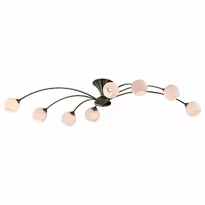 Потолочная люстра Odeon Light Ittal 2160/8C