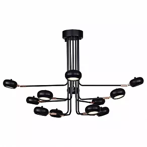 Люстра на штанге Favourite Ellisse 1749-12U