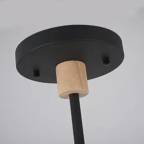 Люстра на штанге Imperiumloft TURNA Black TURNA-DBL01