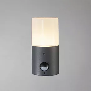 Светильник на штанге Escada Pair 581/1A