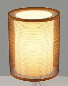 Настольная лампа декоративная Moderli Room V10626-1T