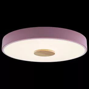 Накладной светильник Loft it Axel 2 10003/24 Pink