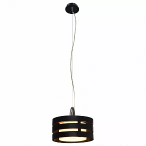 Подвесной светильник Arte Lamp Ring A1326SP-1BK