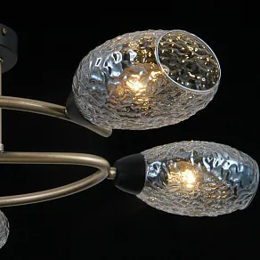 Потолочная люстра ILLUMICO  IL0300-5CSQ-79 BK AB