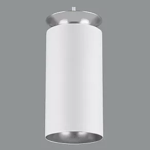 Подвесной светильник Elektrostandard DLS021 9+4W 4200К DLS021 9+4W 4200К