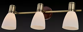 Спот TopLight Sharyl TL3720Y-03BB