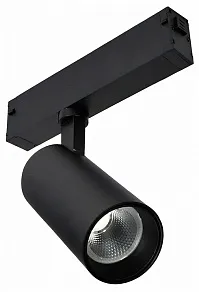 Светильник на штанге ST-Luce SKYLINE 220 ST660.446.10H