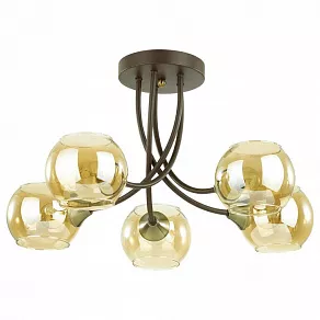 Потолочная люстра Lumion Ashton 4550/5C