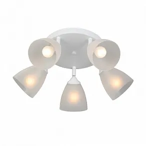 Потолочная люстра Vitaluce V4355 V4355-0/5PL