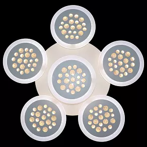 Накладной светильник Natali Kovaltseva 81201 LED LAMPS 81201