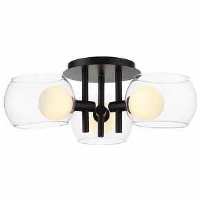 Накладной светильник ST-Luce Elleto SL1483.402.03