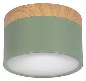 Накладной светильник Loft it Grape 10162 Green