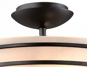 Светильник на штанге Odeon Light Osorno 2664/3C