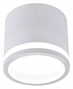 Накладной светильник Favourite Festum 4213-1C