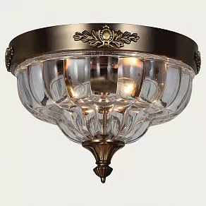 Накладной светильник Favourite Amely 1306-2C