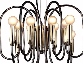 Подвесная люстра Favourite Drolling 1676-12P