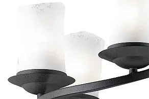 Подвесная люстра Odeon Light Brin 2766/6