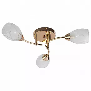 Потолочная люстра TopLight Lucy TL7120X-03FG