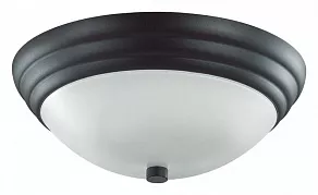 Накладной светильник Lumion Kayla 5263/2C