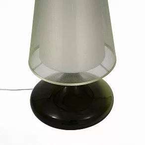 Настольная лампа декоративная ST-Luce Ampolla SL974.904.01