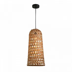 Подвесной светильник Favourite Recinto 4888-1P