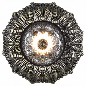 Встраиваемый светильник Favourite Conti 1548-1C