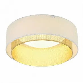 Накладной светильник MyFar Anders MR2370-1CL