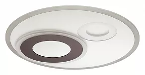 Накладной светильник Lumion Milly 4501/85CL