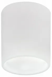 Накладной светильник Lightstar Solido E27 216626
