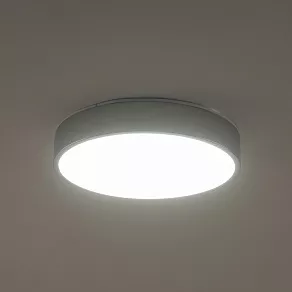 Накладной светильник Zortes Tortty ZRS.02565.36
