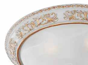 Накладной светильник Favourite Plafond 1446-4C