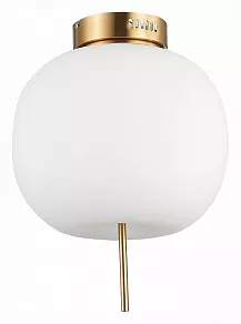 Накладной светильник ST-Luce Lacus SL1621.202.01