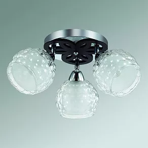 Спот Lumion Federro 3058/3C