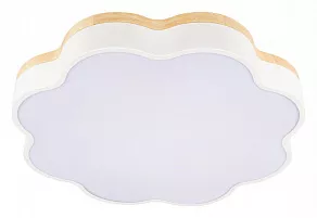 Накладной светильник Loft it Axel 10225/36 White
