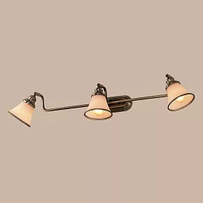 Спот Citilux Прованс CL511533