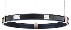 Подвесной светильник Arte Lamp Shine A2222SP-1BK