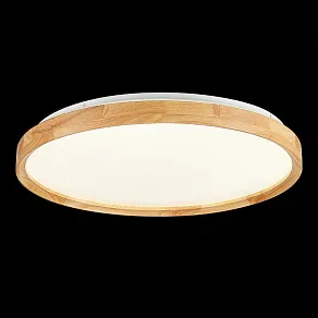 Накладной светильник EVOLUCE DELIA SLE201382-01