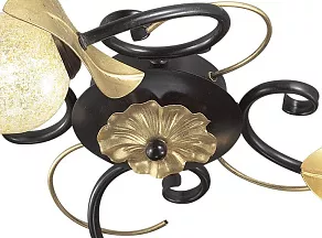 Потолочная люстра Odeon Light Anaba 2691/4C