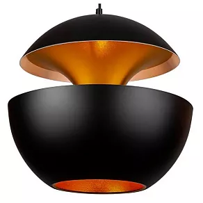 Подвесной светильник L'Arte Luce  L24601.09