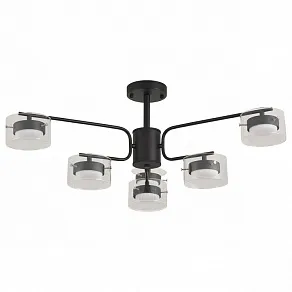 Люстра на штанге Lumion NATALINA 8349/6C