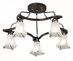 Потолочная люстра Odeon Light Iwo 2237/5С