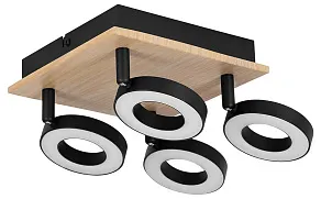 Спот Eglo RIELVES 901205