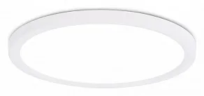Накладной светильник Ambrella Light FZ FZ1909