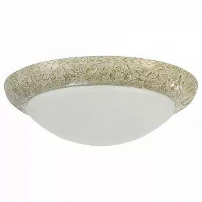 Накладной светильник Maytoni Lorena C366-CL-03-BG