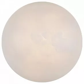 Накладной светильник L'Arte Luce  L29622