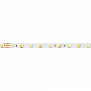 Лента светодиодная Arlight RT открытая 025213(1)