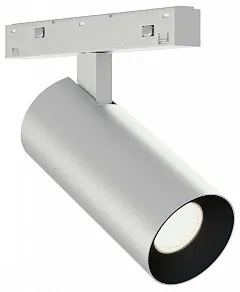 Светильник на штанге ST-Luce SKYLINE 48+ ST2365.546.08_SH_R