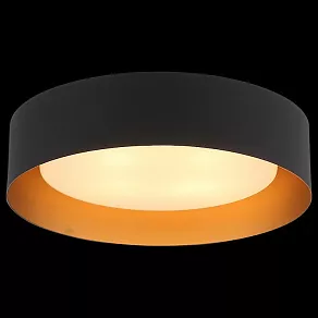 Накладной светильник ST-Luce Chio SL392.422.04