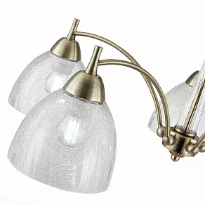 Люстра на штанге EVOLUCE Nuele SLE104402-05